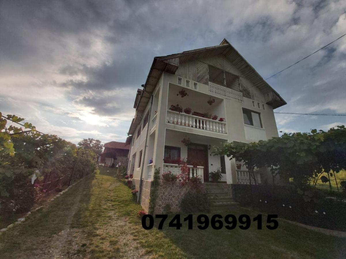Pensiunea Angelica Baia de Fier Exterior foto