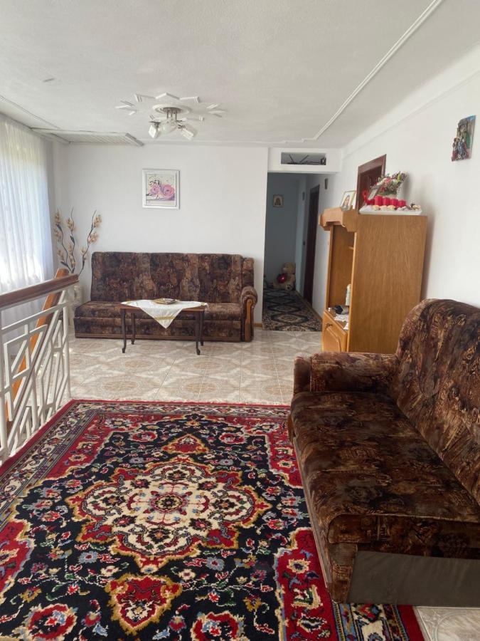 Pensiunea Angelica Baia de Fier Exterior foto